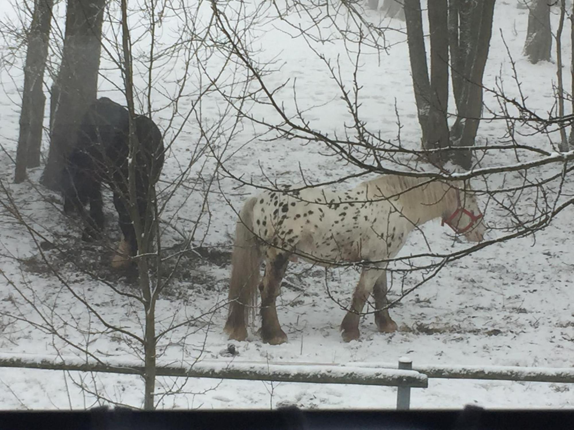 Penzion Na Slunicku Mariánská Exteriör bild