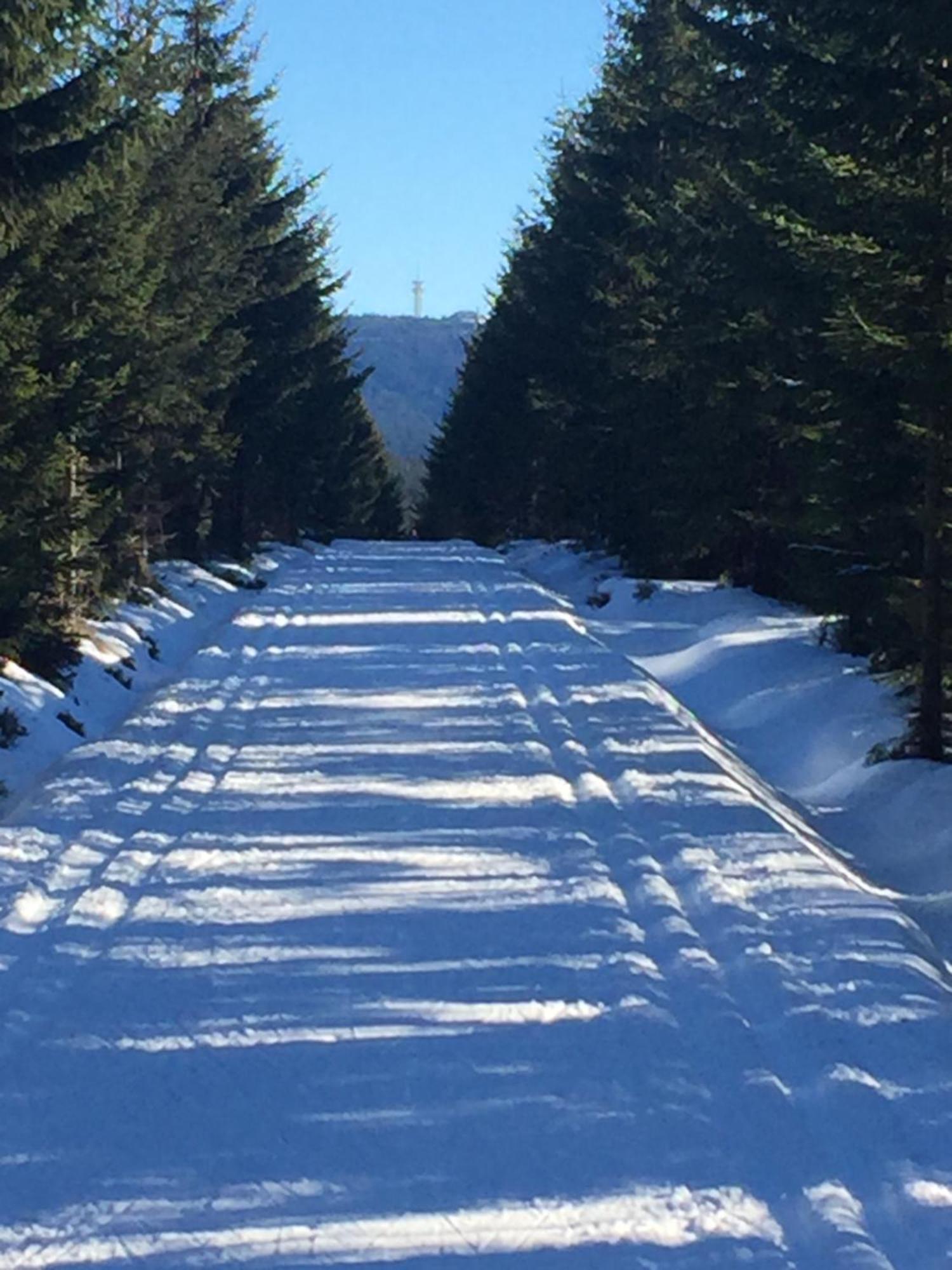 Penzion Na Slunicku Mariánská Exteriör bild
