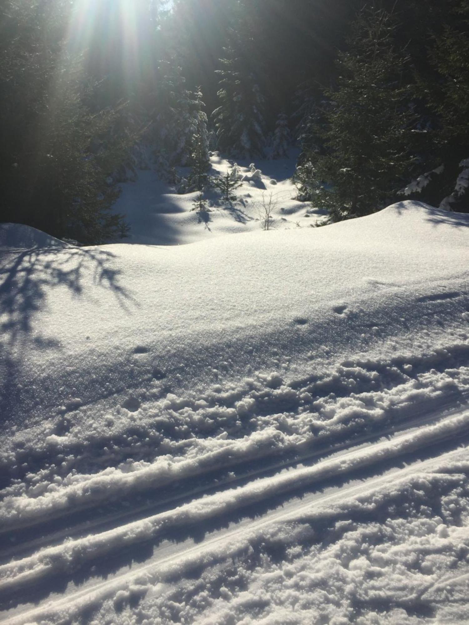 Penzion Na Slunicku Mariánská Exteriör bild