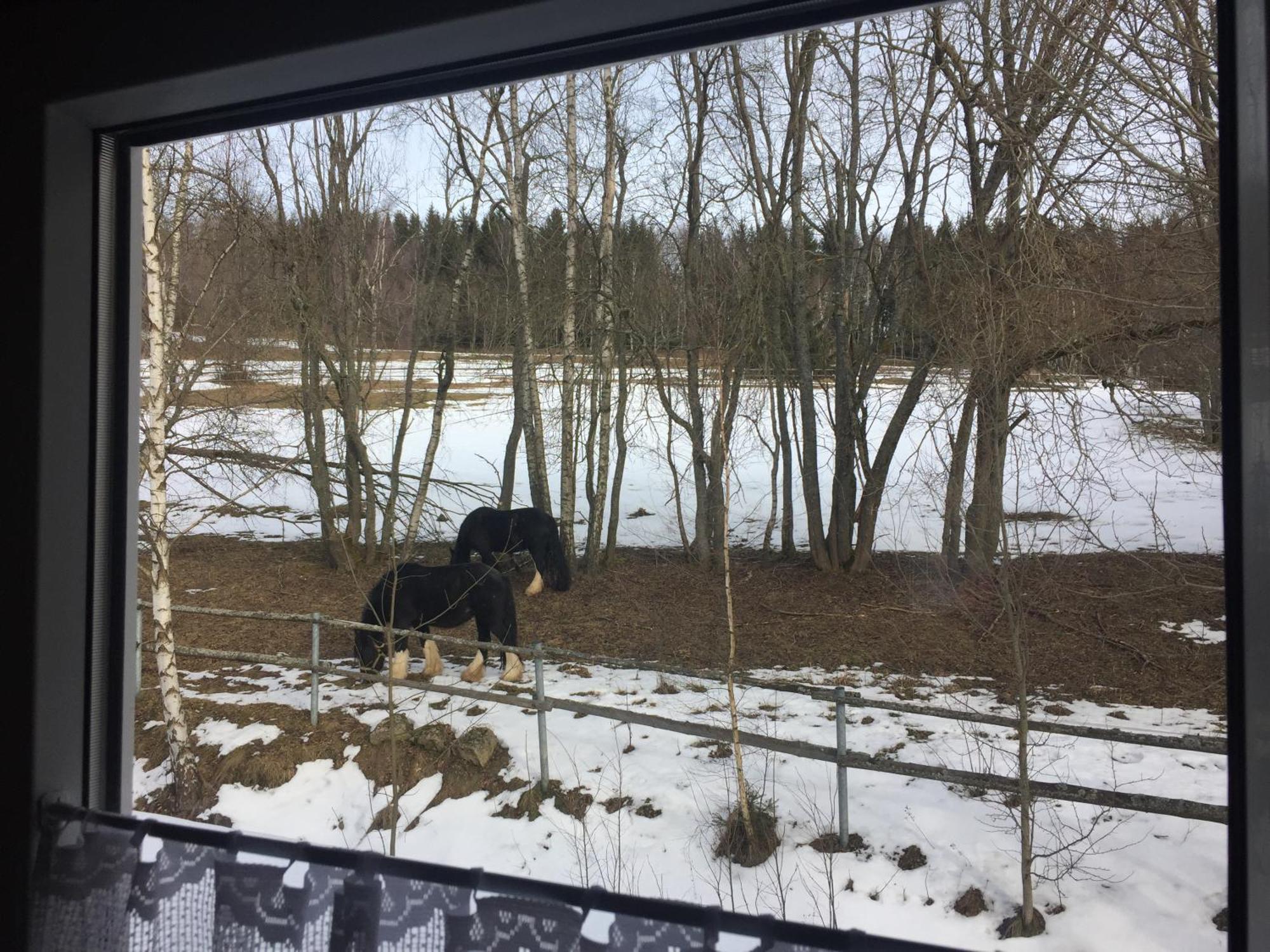 Penzion Na Slunicku Mariánská Exteriör bild