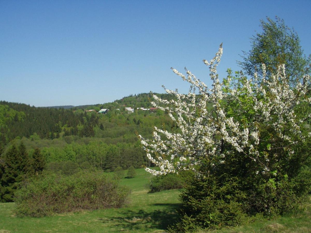 Penzion Na Slunicku Mariánská Exteriör bild